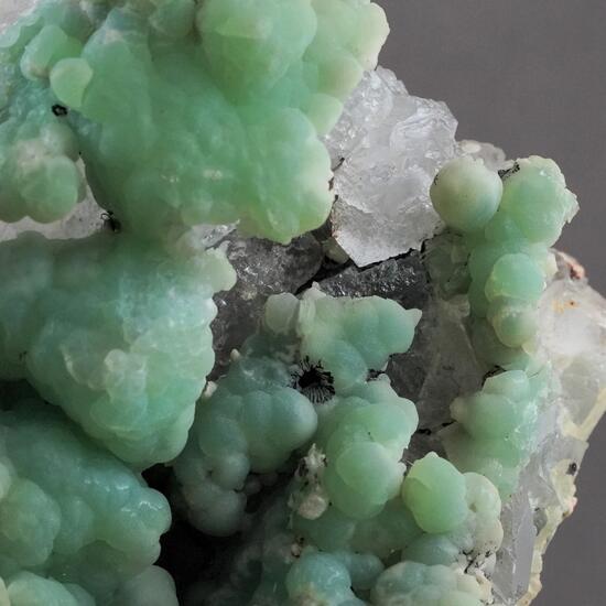 Smithsonite On Fluorite