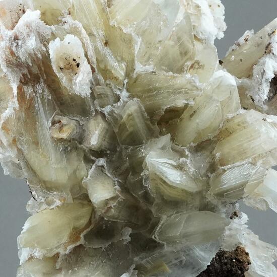 Gypsum & Siderite