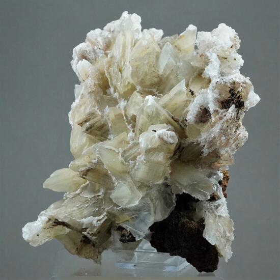 Gypsum & Siderite