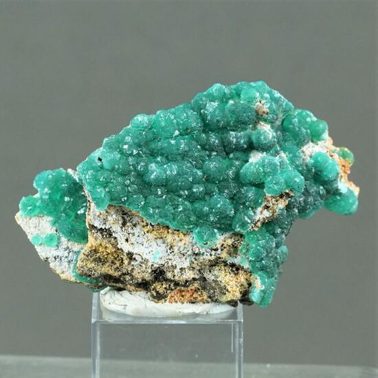 Cuprian Adamite