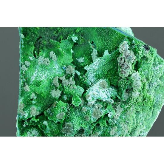 Conichalcite Azurite Olivenite & Arsenocrandallite