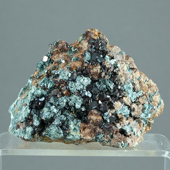 Hessonite & Clinochlore