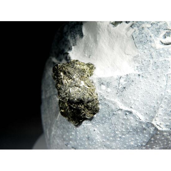 Quartz & Pyrite & Calcite Psm Fossil