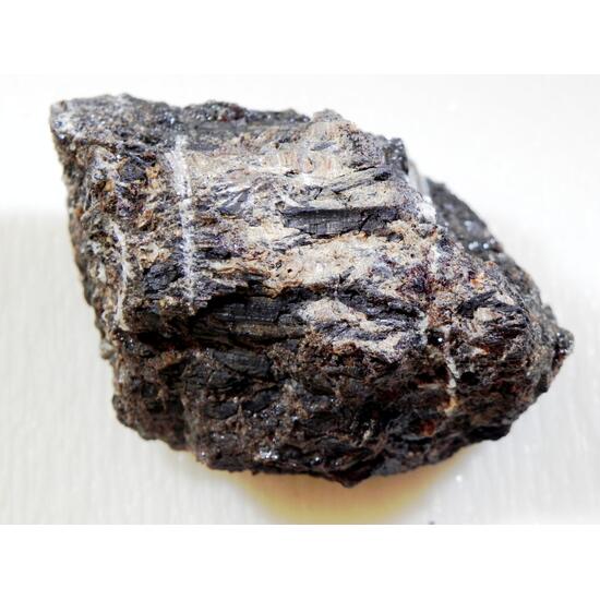 Amber Var Duxite With Petrified Wood & Quartz