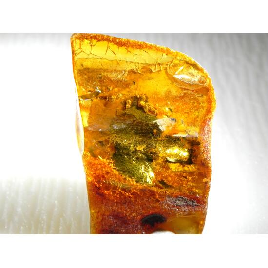 Pyrite In Amber