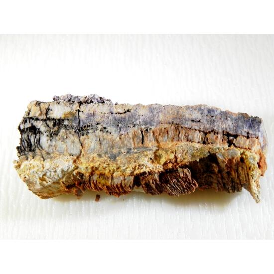 Petrified Wood With Fluorite & Quartz
