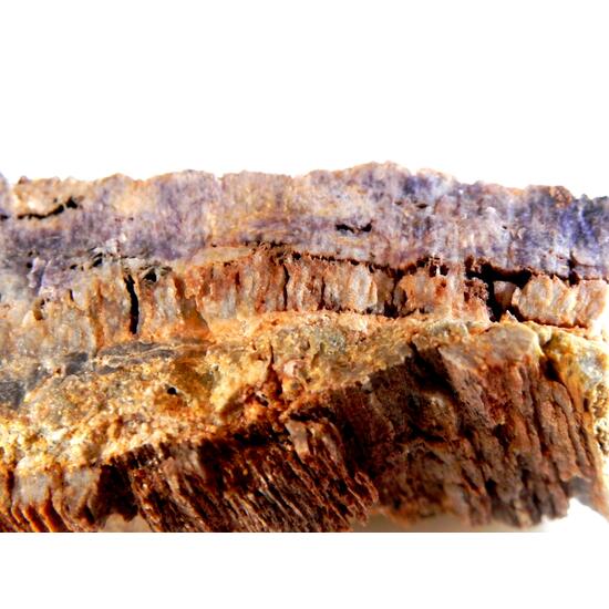 Petrified Wood With Fluorite & Quartz