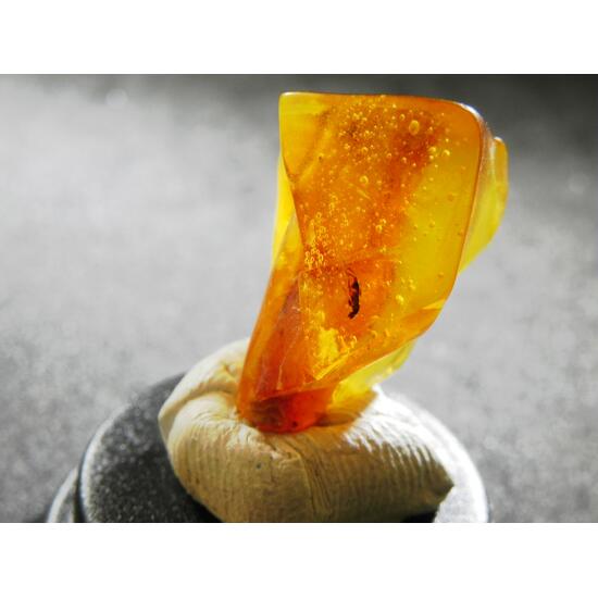 Amber With Inclusions