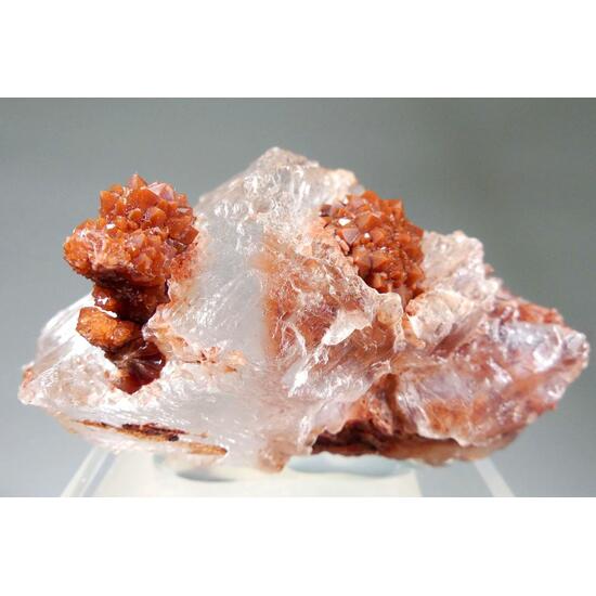 Jacinto de Compostela Quartz On Gypsum