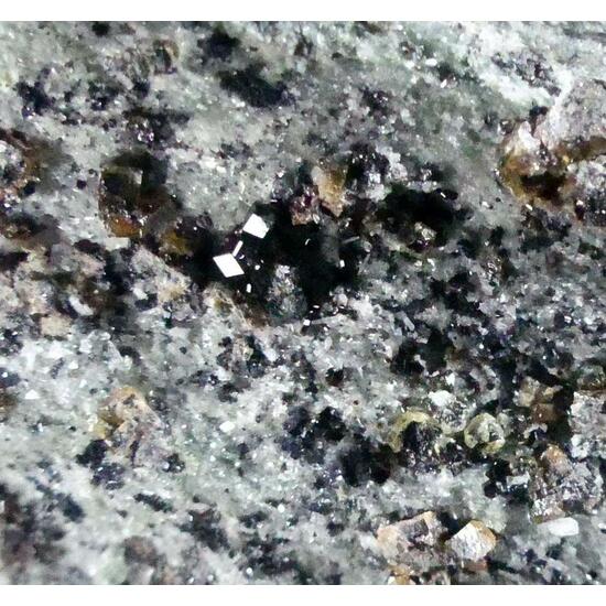 Melanite Diopside Perovskite & Magnetite