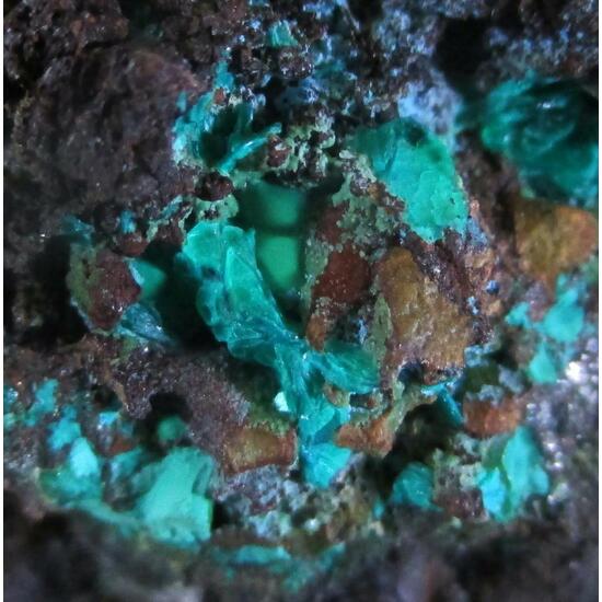 Chalcophyllite Liroconite & Malachite