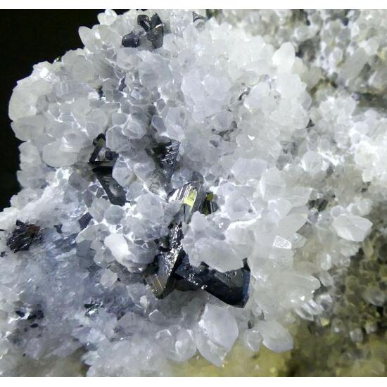 Tetrahedrite & Galena On Quartz