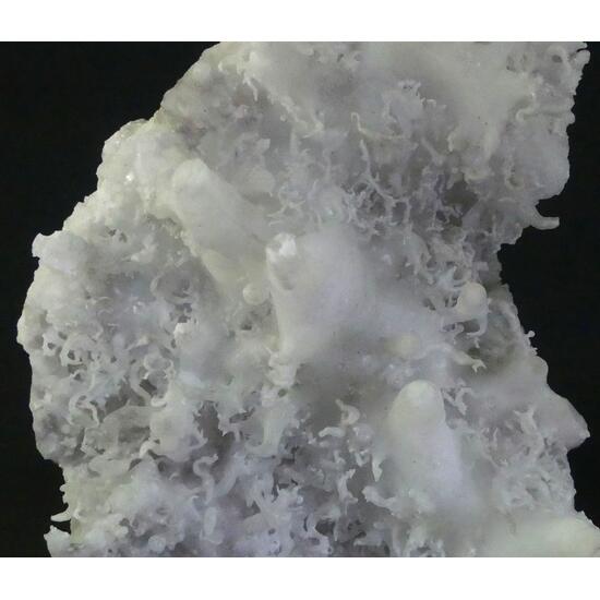 Aragonite Var Flos Ferri