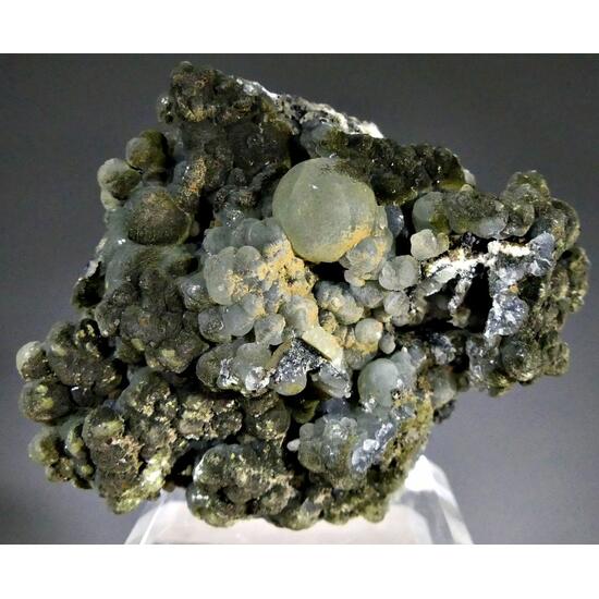 Julgoldite-(Fe2+) On Prehnite