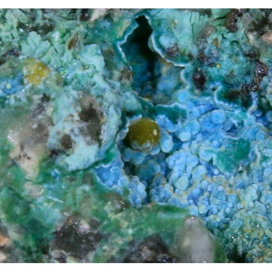 Eulytine Beyerite & Namibite On Chrysocolla