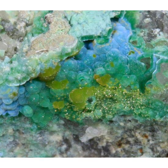 Eulytine Beyerite & Namibite On Chrysocolla