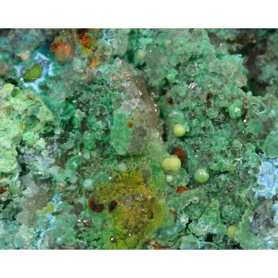 Eulytine Beyerite & Namibite On Chrysocolla