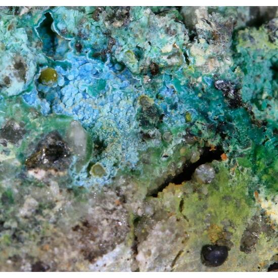 Eulytine Beyerite & Namibite On Chrysocolla