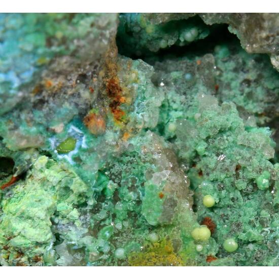Eulytine Beyerite & Namibite On Chrysocolla