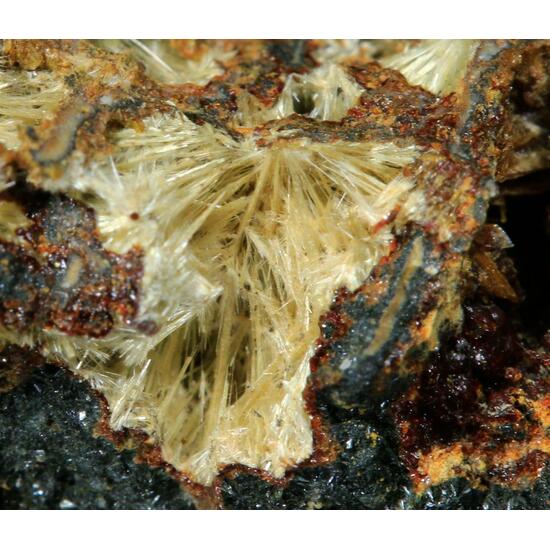 Bassetite Pseudolaueite Strunzite Bermanite Robertsite Rockbridgeite & Mitridatite