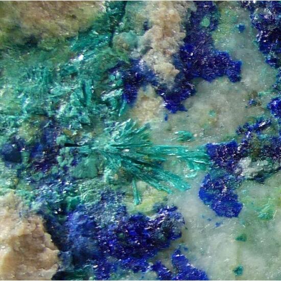 Tyrolite & Azurite