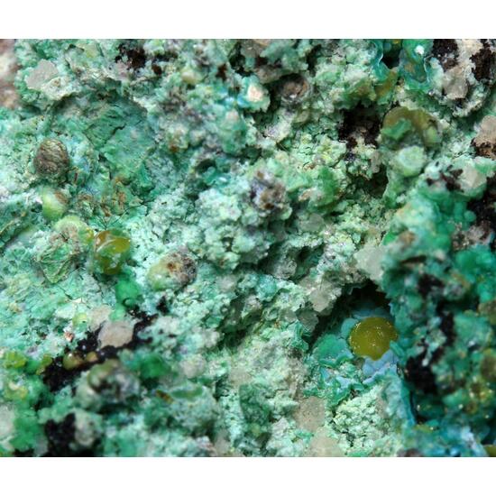 Eulytine With Hechtsbergite Biotite & Chrysocolla