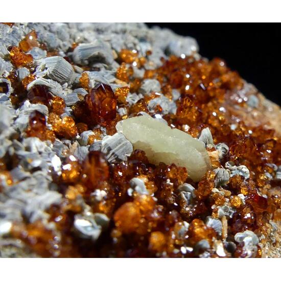 Titanite Hessonite & Clinochlore