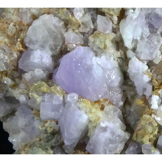 Fluorapatite