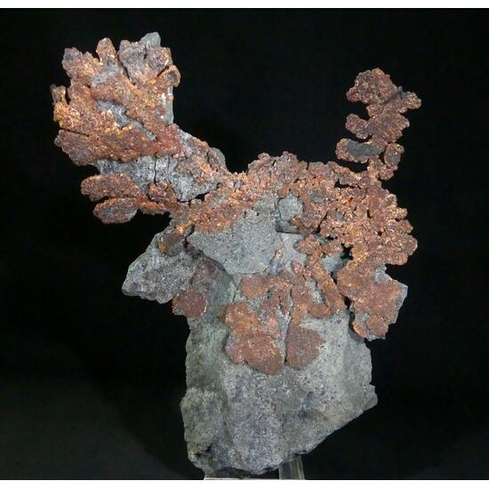 Native Copper Cuprite & Bornite