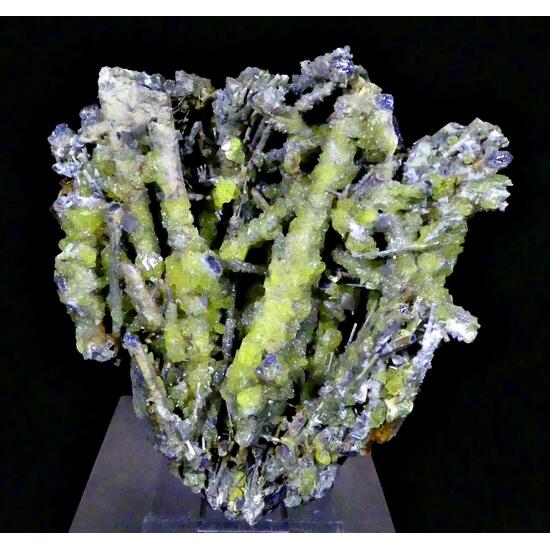 Sénarmontite Native Sulphur Cervantite & Stibiconite Psm Stibnite On Stibnite