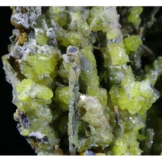 Sénarmontite Native Sulphur Cervantite & Stibiconite Psm Stibnite On Stibnite