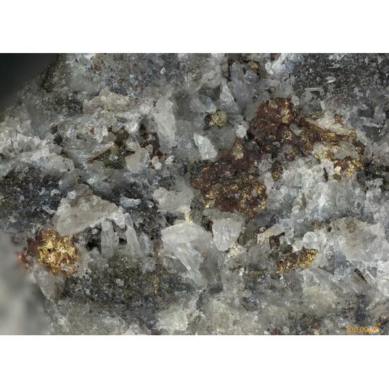 Native Gold & Sylvanite