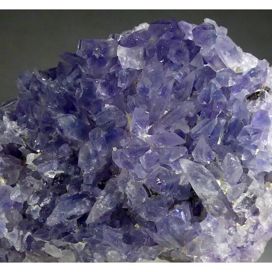 Creedite