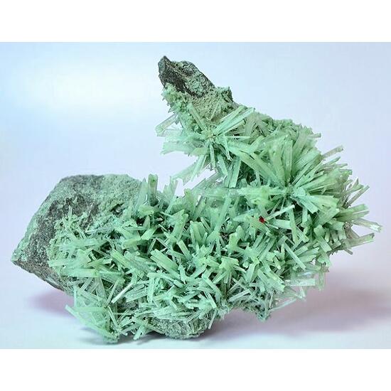 Gypsum