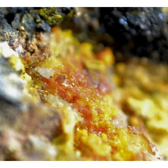 Studtite & Fourmarierite