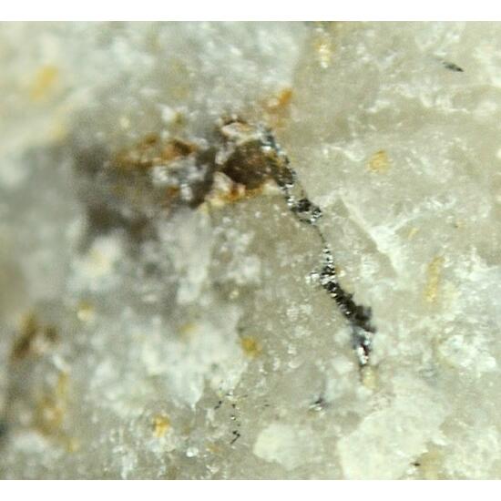 Hammarite & Mummeite