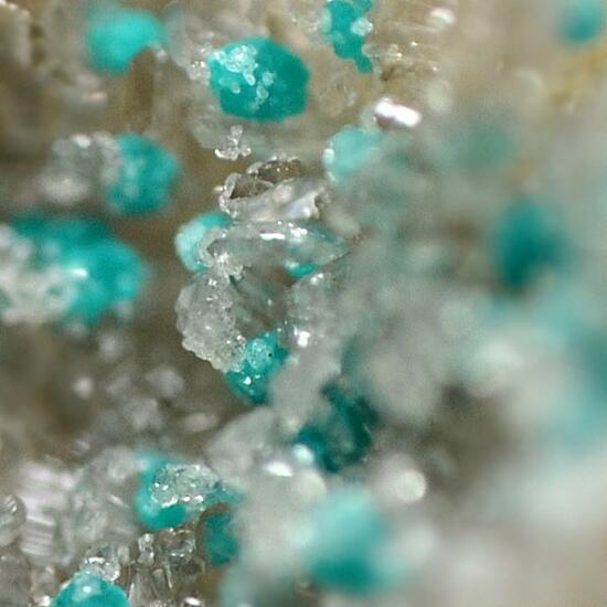 Rosasite & Hemimorphite