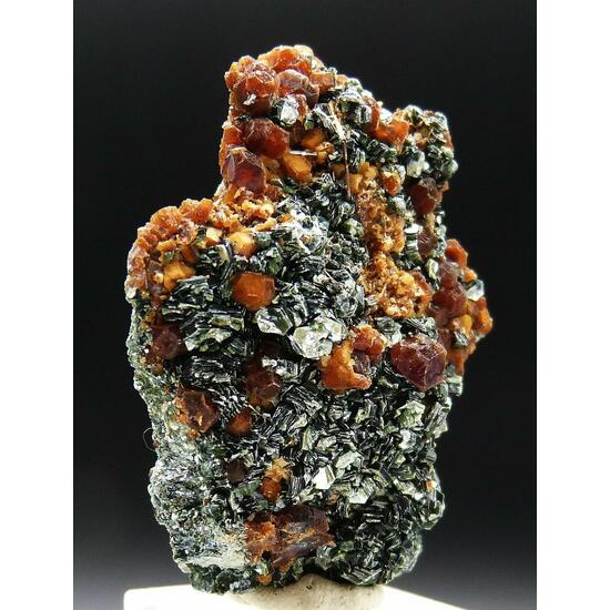 Hessonite & Clinochlore