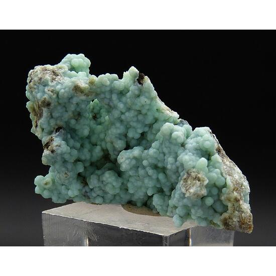 Carbonate-rich Fluorapatite