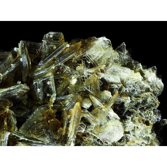 Muscovite