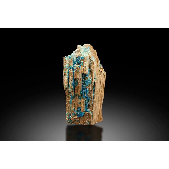 Chalcanthite In Fossil Wood