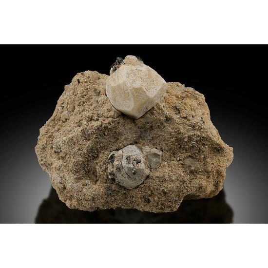 Leucite & Augite