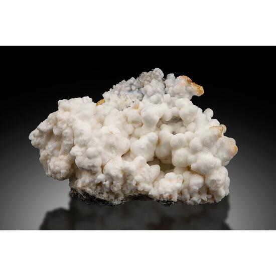 Opal Var Fiorite