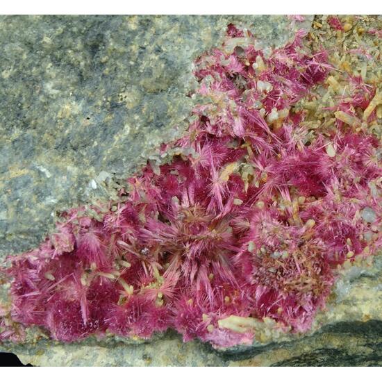 Erythrite