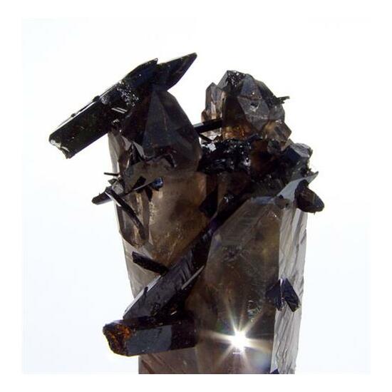 Aegirine On Smoky Quartz