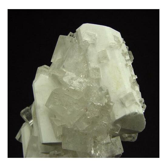 Leonite Psm Picromerite