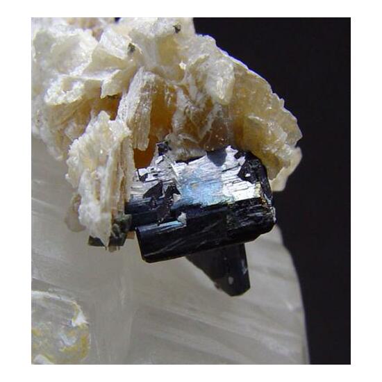 Tantalite-(Mn)