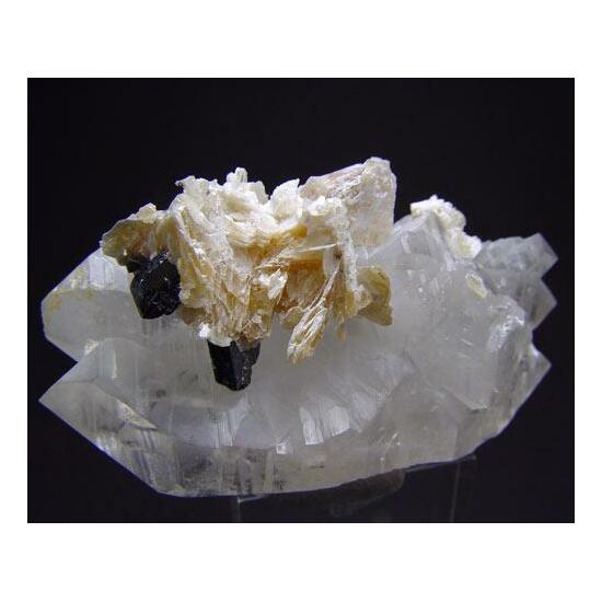 Tantalite-(Mn)