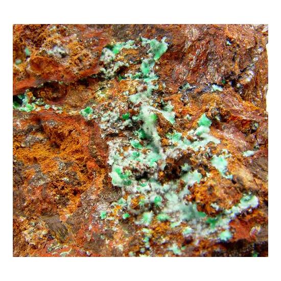 Agardite-(Ce) & Cornwallite