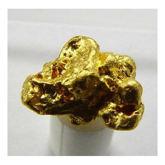 Gold Nugget